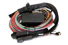 Load image into Gallery viewer, Haltech Elite 2500 &amp; 2500 T 8ft Premium Universal Wire-In Harness Wiring Harnesses Haltech   