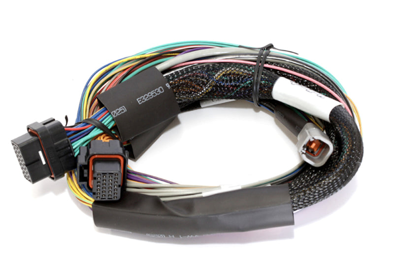 Haltech Elite 2500 8ft Basic Universal Wire-In Harness (Excl Relays or Fuses) Wiring Harnesses Haltech   