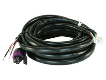 Load image into Gallery viewer, AEM Replacement Main Harness for X-Series Pressure Gauges Wiring Harnesses AEM   