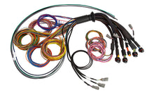 Load image into Gallery viewer, Haltech NEXUS R5 Universal Wire-In Harness - 2.5M (8ft) Wiring Harnesses Haltech   