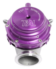 Load image into Gallery viewer, TiAL Sport MVR Wastegate 44mm (All Springs) w/Clamps - Purple Wastegates TiALSport   
