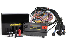 Load image into Gallery viewer, Haltech NEXUS R5 Universal Wire-In Harness Kit - 2.5M (8ft) Wiring Harnesses Haltech   