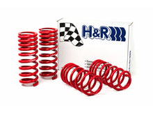 Load image into Gallery viewer, H&amp;R 94-95 Ford Mustang/Mustang Cobra V8 Race Spring Lowering Springs H&amp;R   
