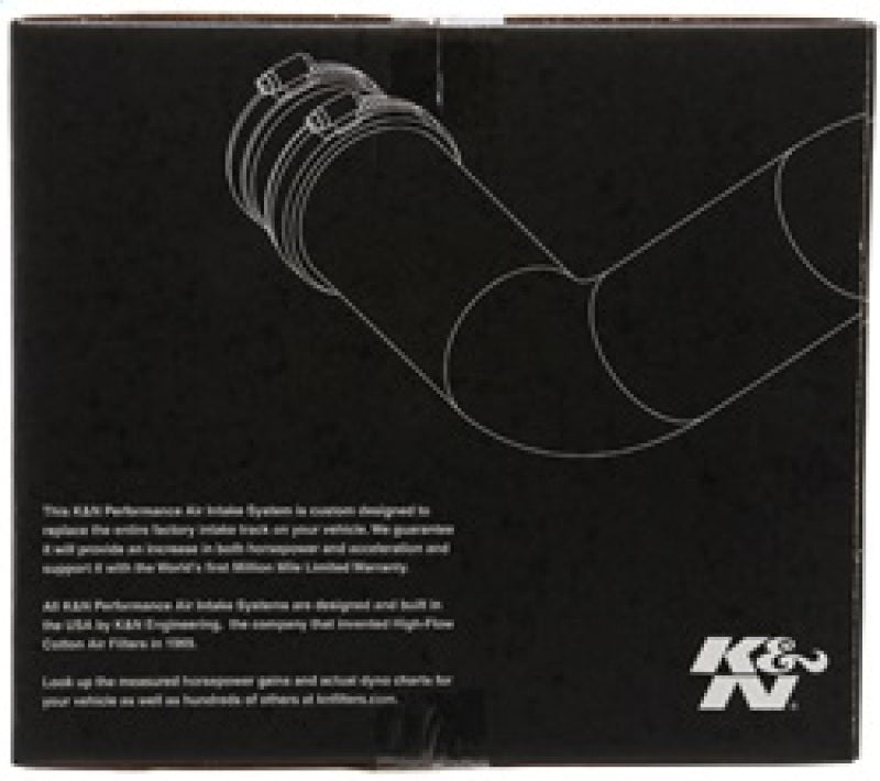K&N 00-05 BMW 330 L6-3.0L E46 Performance Intake Kit Cold Air Intakes K&N Engineering   