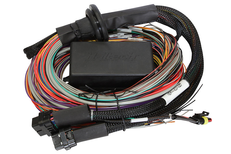 Haltech Elite 1500 8ft Premium Universal Wire-In Harness Wiring Harnesses Haltech   