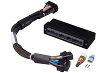 Load image into Gallery viewer, Haltech 92-95 Honda Civic/Integra (OBD-I B-Series) Elite 1000/1500 Plug-n-Play Adaptor Harness Wiring Harnesses Haltech   