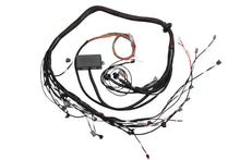 Load image into Gallery viewer, Haltech Toyota 2JZ Elite 2000/2500 Terminated Engine Harness Wiring Harnesses Haltech   