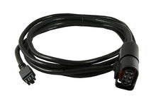 Load image into Gallery viewer, Innovate Sensor Cable: 3 ft. (LM-2 MTX-L) Gauge Components Innovate Motorsports   