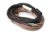 Load image into Gallery viewer, Haltech IO 12 Expander Box 8ft Flying Lead Harness (A/B Box) Wiring Harnesses Haltech   