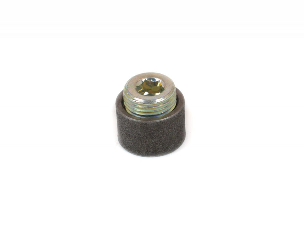 Canton 20-883 Steel Fitting 3/8 Inch NPT Bung With Plug Welding Required  Canton Racing Products   